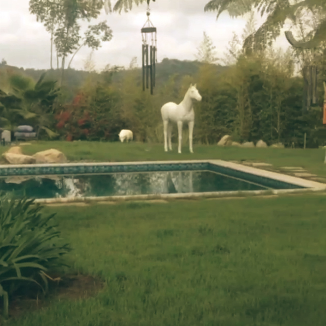 Miley-Cyrus-bizarre-House-studio-city-california-bizarre-backyard-horse